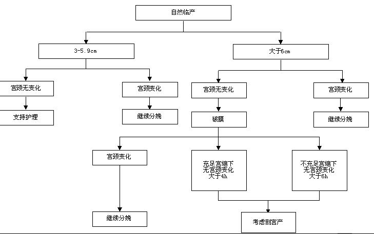 acog指南防止首次剖宫产