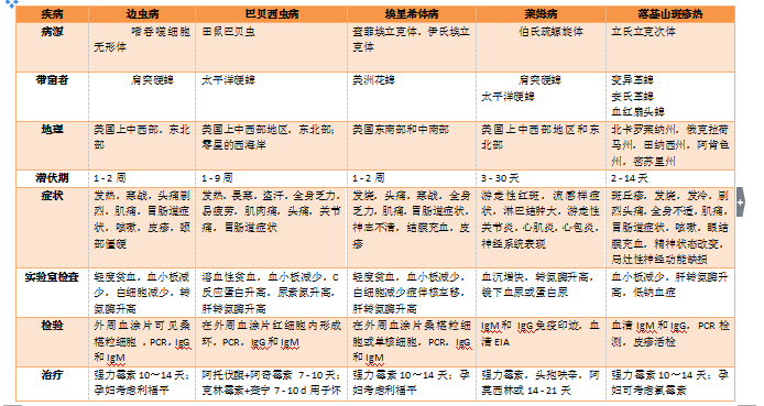 妊娠合并巴贝斯虫病