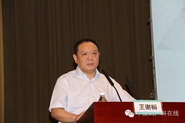 山东省妇产医院副院长王谢桐教授讲座题目是《剖宫产相关问题的监测》